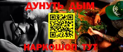 шишки Аргун