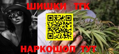 шишки Аргун