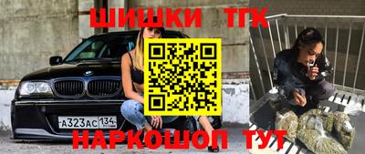 шишки Аргун