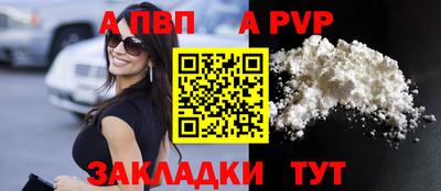 шишки Аргун