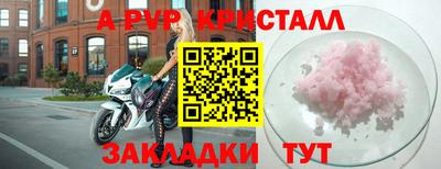 шишки Аргун